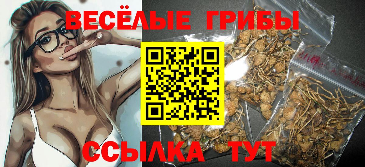 Псилоцибиновые грибы Psilocybine cubensis  Вход с VPN  Павловский Посад  Галлюциногенные грибы GOLDEN TEACHER 